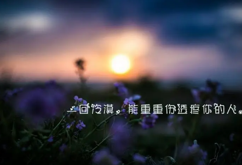 1690883587149318.png image.png