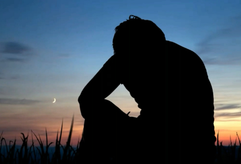 1690885922539537.png image.png