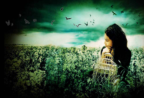 1690892260262730.png image.png