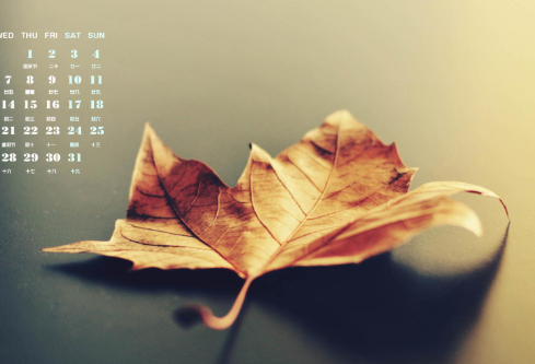 1690897088195639.png image.png