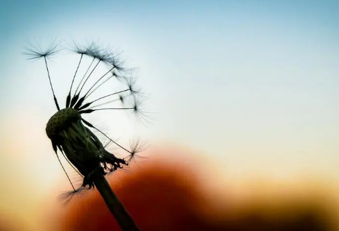 1690903751490566.png image.png