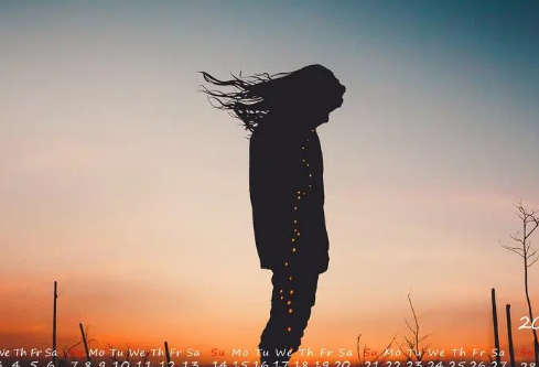 1690908938496601.png image.png