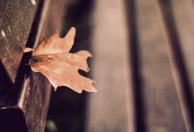 ​男孩大气有涵养的英文名字(精选61个)