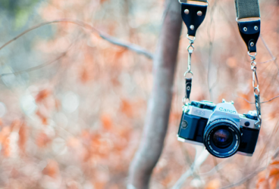 ​社会人豪横超拽欧美风英文网名(共128个)