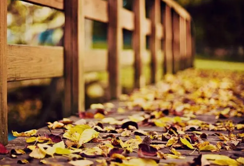 1690925589819392.png image.png