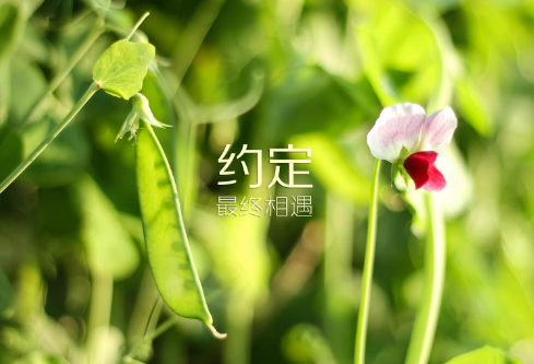 1690929097485644.png image.png