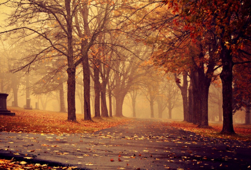 1690938415619279.png image.png