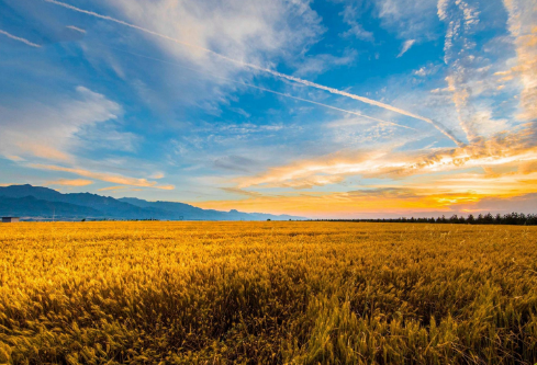 1691486278254892.png image.png