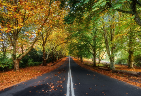 1691488932553388.png image.png