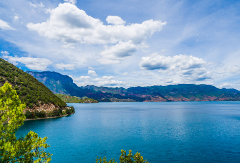 1691490604548370.png image.png