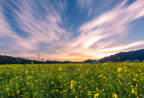 1691491267533372.png image.png