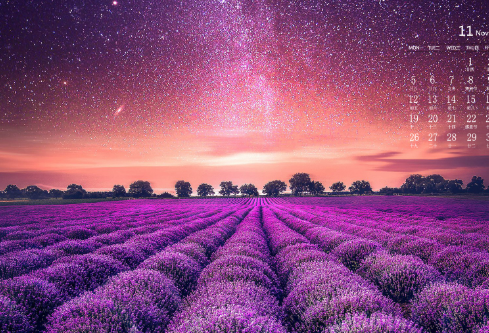 1691495248960687.png image.png