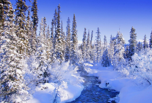 1691495745661213.png image.png