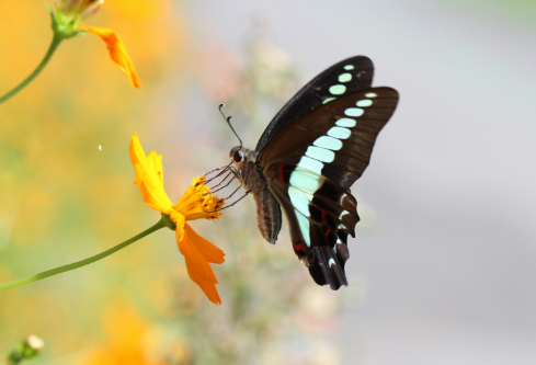 1691495911899559.png image.png