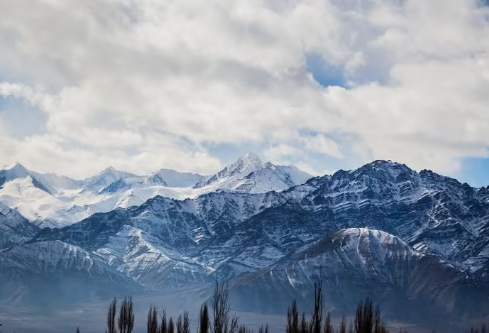 1691496242279728.png image.png