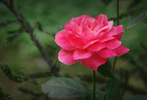 1691496408717162.png image.png