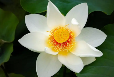 ​挽回女朋友的话感动人心的话（挽回女友最有力的短信）