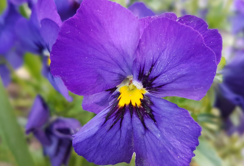 1691498399158721.png image.png