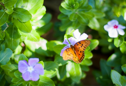 1691498565906498.png image.png