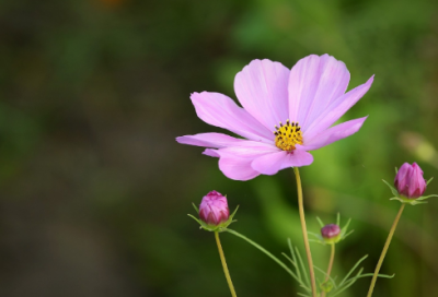 ​拥抱半命题作文范文