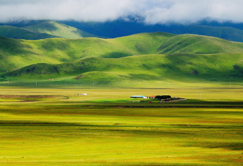 1691498897425312.png image.png