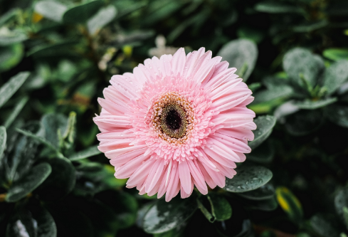 1691499228471386.png image.png