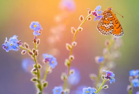 1691499892616677.png image.png