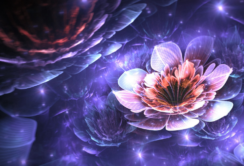 1691500058362786.png image.png