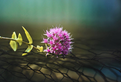 1691501881791341.png image.png