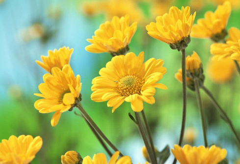 1691502213267956.png image.png