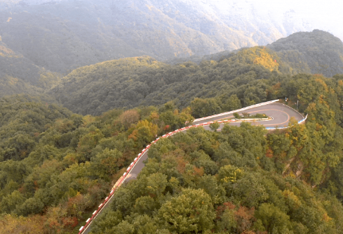 1691503540584641.png image.png