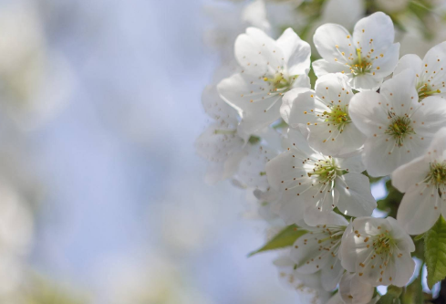 1691504701712831.png image.png