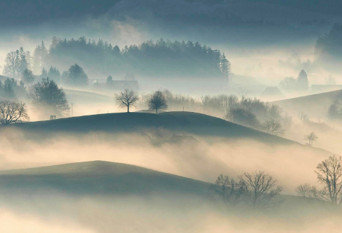 1691514319115146.png image.png