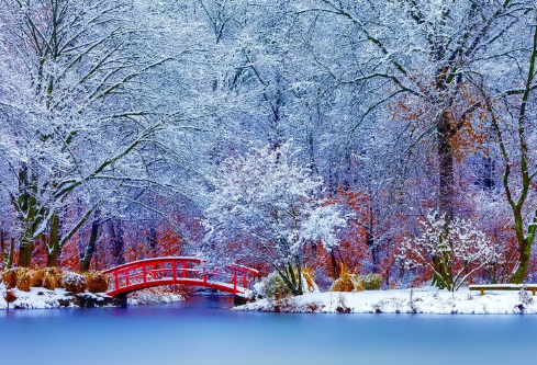 1691514983214091.png image.png