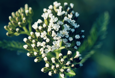 1691516972270757.png image.png