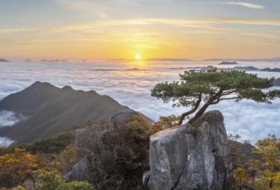 ​劳动节的歌谣（关于热爱劳动的歌谣）