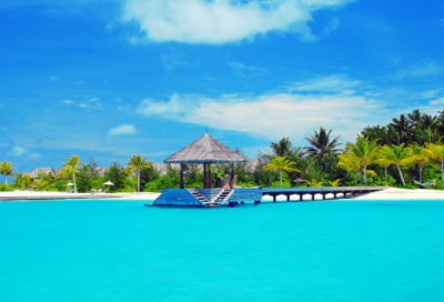 ​老虎的寓意是什么（虎在中国文化中的寓意）