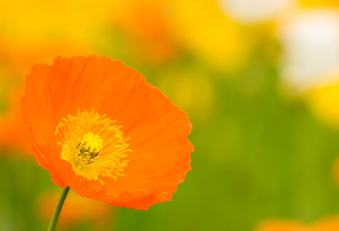 1691519956843153.png image.png