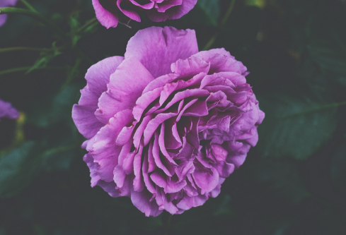 1691521136710442.png image.png