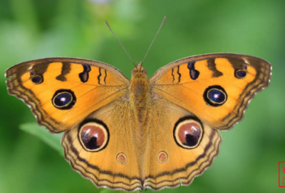 ​给学生的一封信怎么写（老师给学生的暖心寄语）