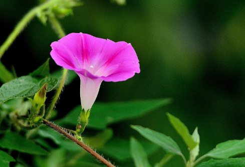 1691522795604108.png image.png