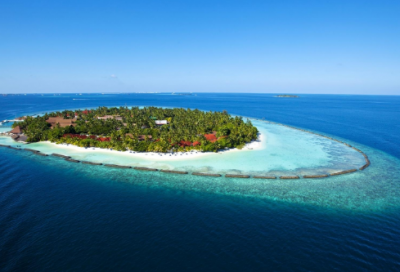 ​忆读书阅读答案及解析（忆读书课内阅读题及答案）