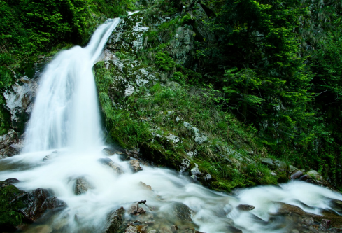 1691523293732683.png image.png