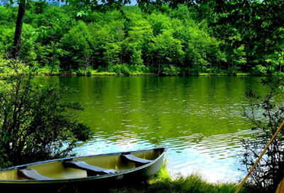 ​漫成一首杜甫原文及赏析（漫成一首后两句赏析）