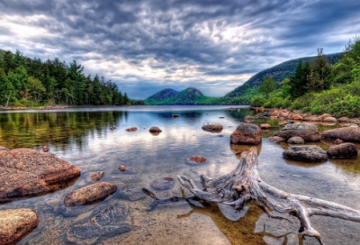 ​李清照醉花阴赏析（李清照醉花阴赏析分享）