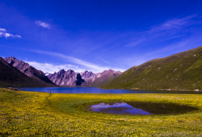 ​期末总结作文范文