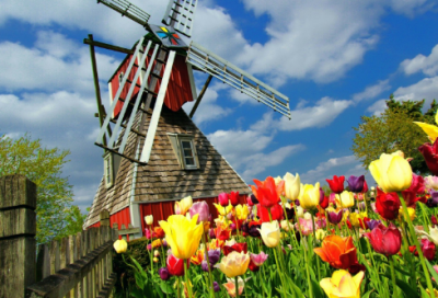 ​西风胡杨原文（西风胡杨朗诵原文）