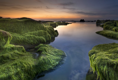 ​钢铁是怎样炼成的读后感600字（钢铁是怎样炼成的感悟）