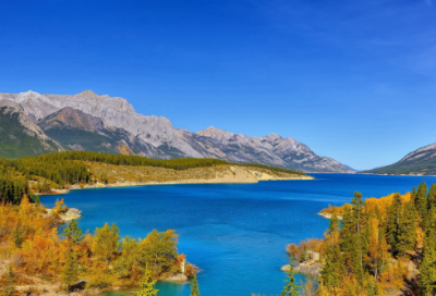 ​小学作文公开课评课发言稿范文