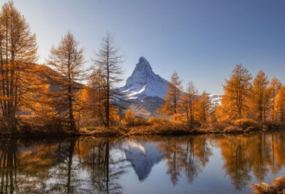 ​有关难忘的一件事作文范文